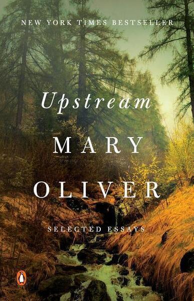Upstream - 0143130080