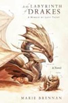 In the Labyrinth of Drakes - 178329776X