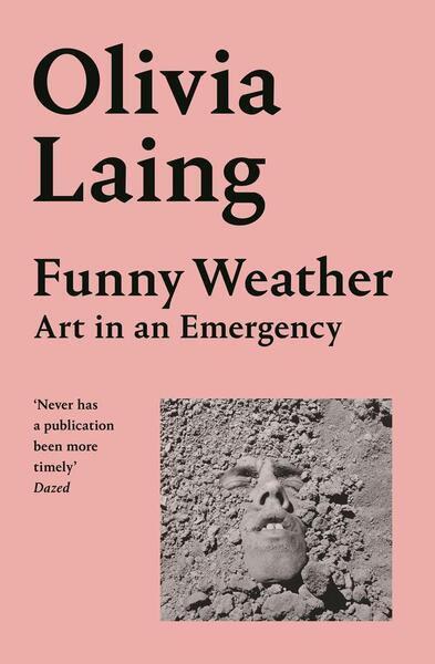 Funny Weather, Art in an Emergency Pan Macmillan