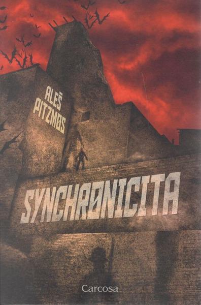 Synchronicita - 9788088243670