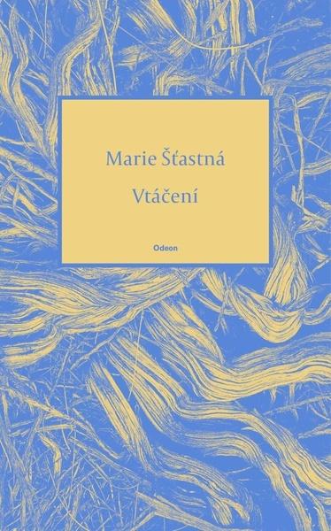 Vtáčení - 9788020720948
