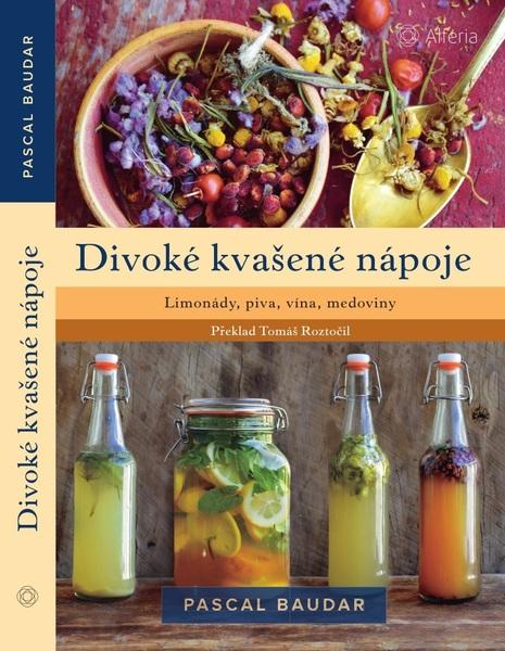 Divoké kvašené nápoje - 9788027134793