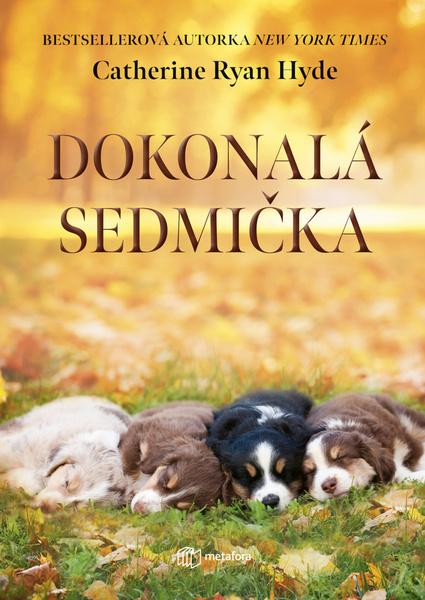 Dokonalá sedmička - 9788080903541