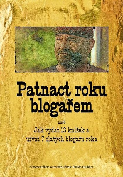 Patnact roku blogařem - 9788090870338