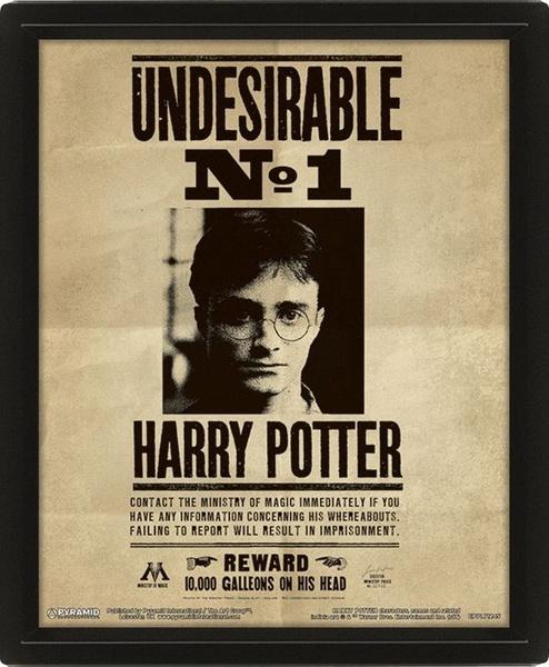Harry Potter : 3D obraz Sirius 3D Obraz (s rámem)