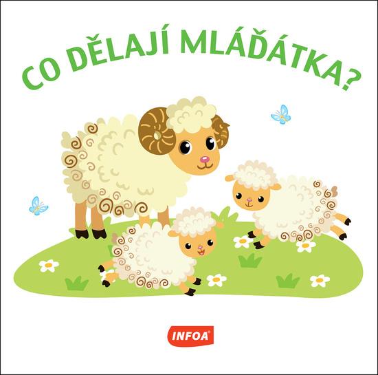 Co dělají mláďátka? - 9788075478771
