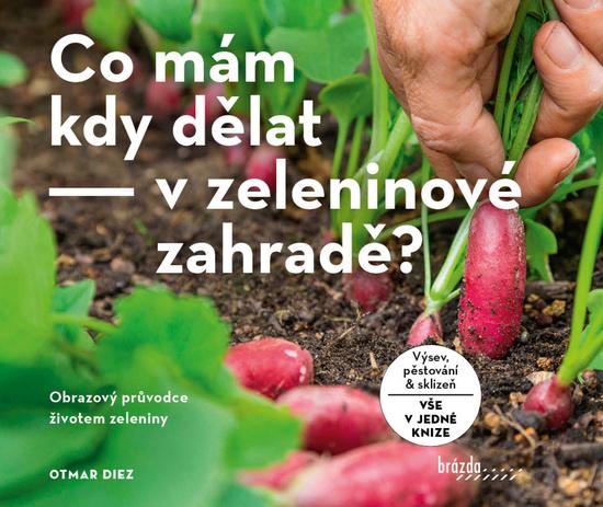 Co mám kdy dělat - v zeleninové zahradě? - 9788020904461
