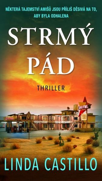 Strmý pád - 9788027904594