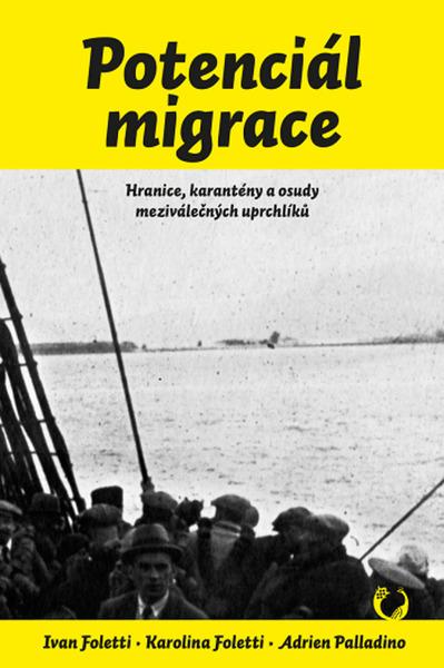 Potenciál migrace - 9788074852596