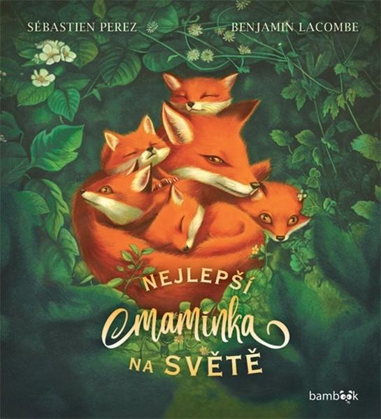 Nejlepší maminka na světě - Sébastien Perez