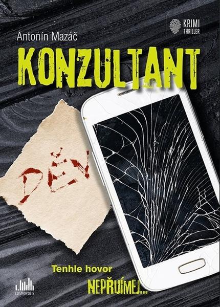 Konzultant - 9788027137855
