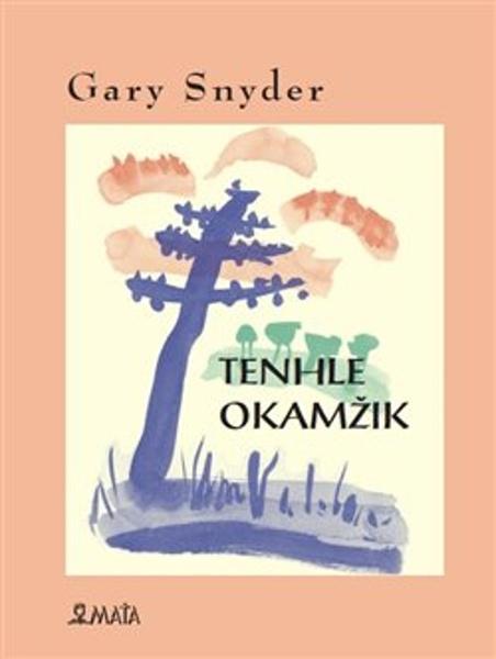 Tenhle okamžik - 9788072872800