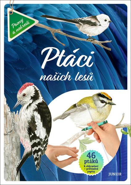 Ptáci našich lesů - 9788072677771
