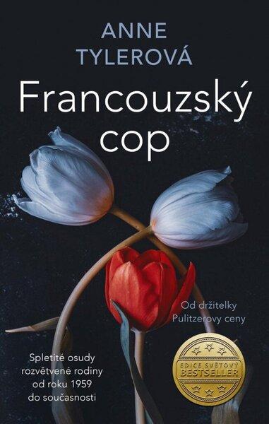 Francouzský cop - 9788024950754