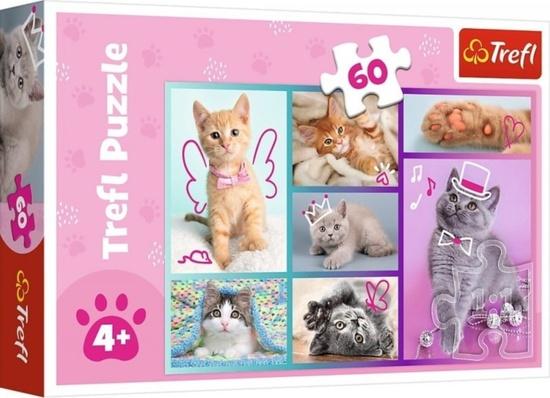 TREFL Puzzle Roztomilá koťátka 60 dílků - 17373