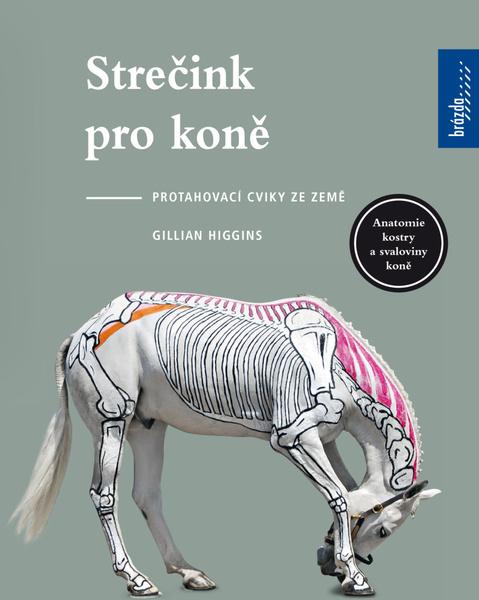 Strečink pro koně - 9788020904577