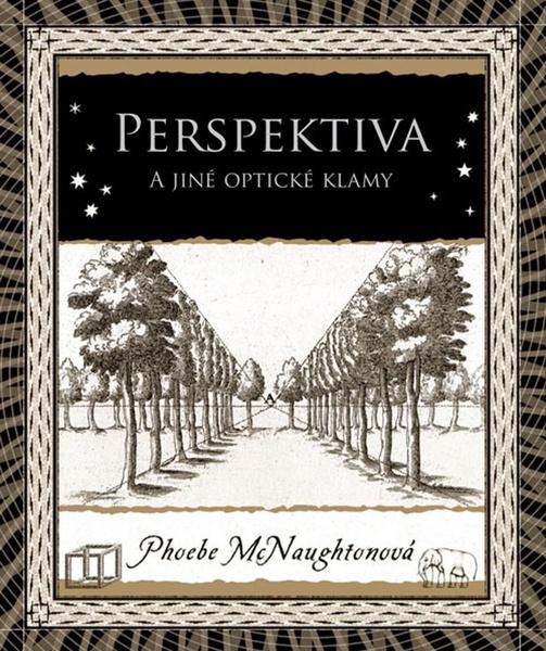 Perspektiva a jiné optické klamy - 9788076751439