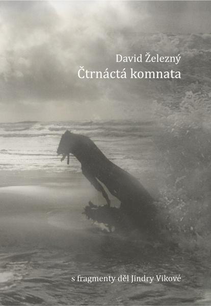 Čtrnáctá komnata - 9788072815777