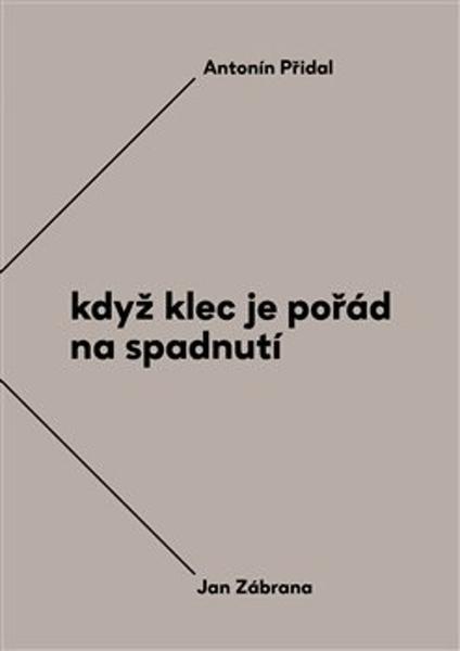 Když klec je pořád na spadnutí - 9788072157075