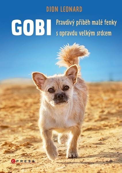 Gobi - 9788026448471