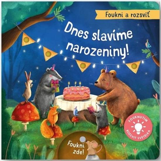 Dnes slavíme narozeniny! - 9788025634639