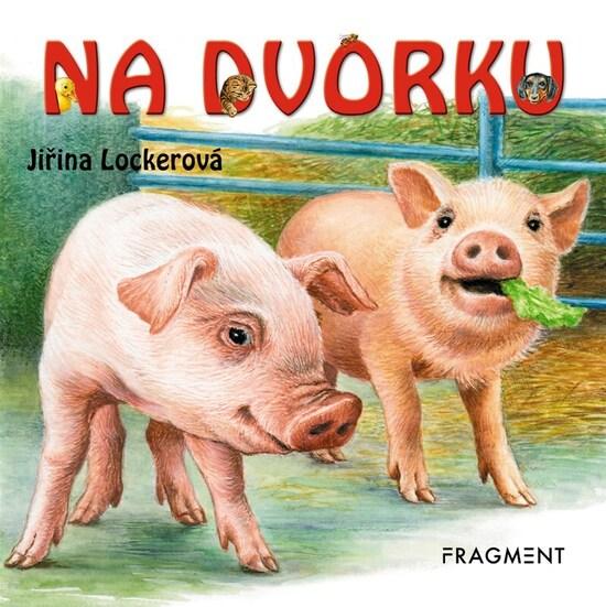 Na dvorku - 9788025363058