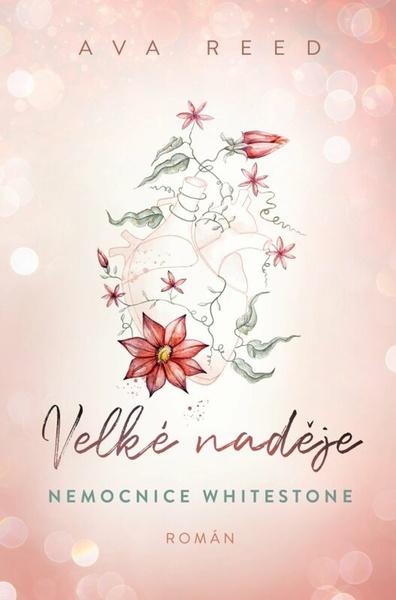 Velké naděje - 9788027714414