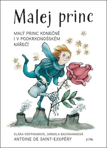 Malej princ - 9788076893146