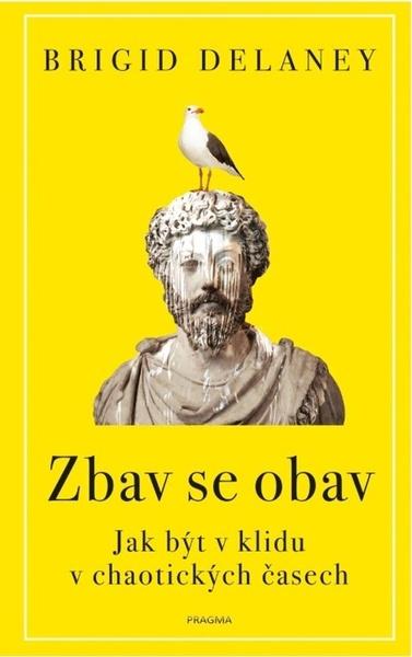 Zbav se obav - 9788024295909