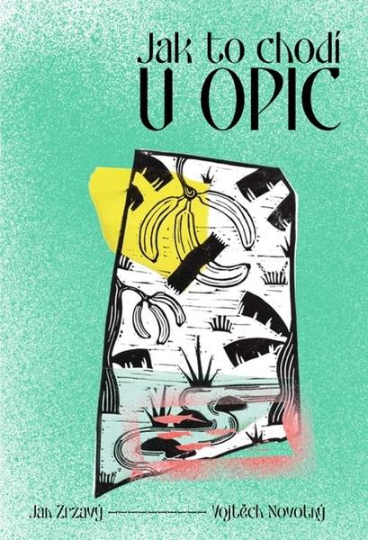 Jak to chodí u opic - 9788076751378