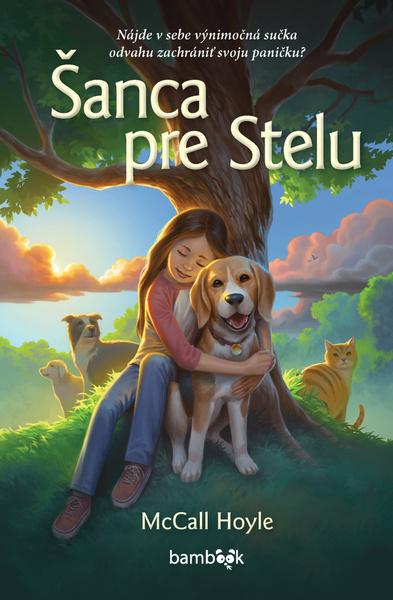 Šanca pre Stelu - 9788080907402