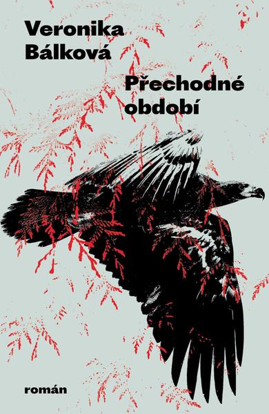 Přechodné období - 9788076374621