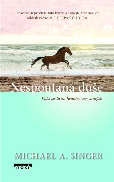 Nespoutaná duše - 9788081116674
