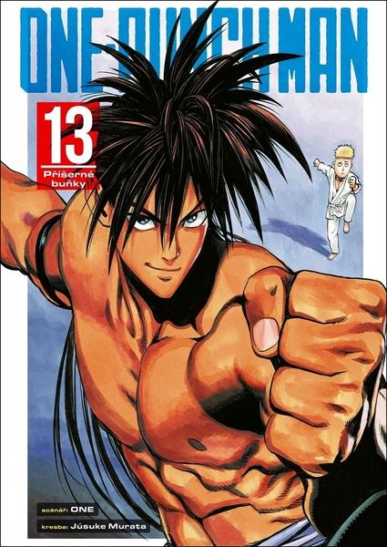One-Punch Man 13 - 9788076796232