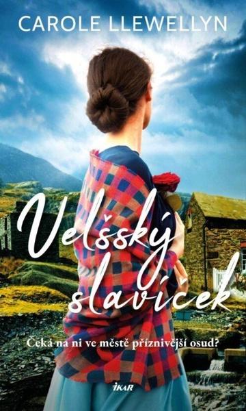 Velšský slavíček - 9788024954349