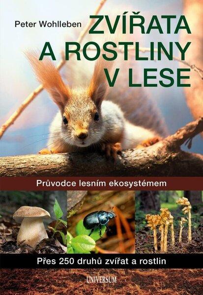 Zvířata a rostliny v lese - 9788024298016