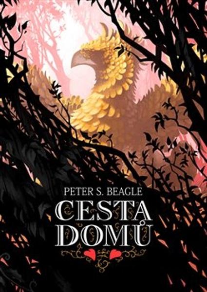 Cesta domů - 9788025742617