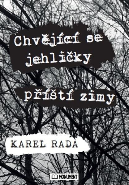 Chvějící se jehličky příští zimy - 9788088143253