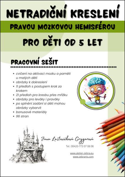 Netradiční kreslení pravou mozkovou hemisférou - 9788090920118