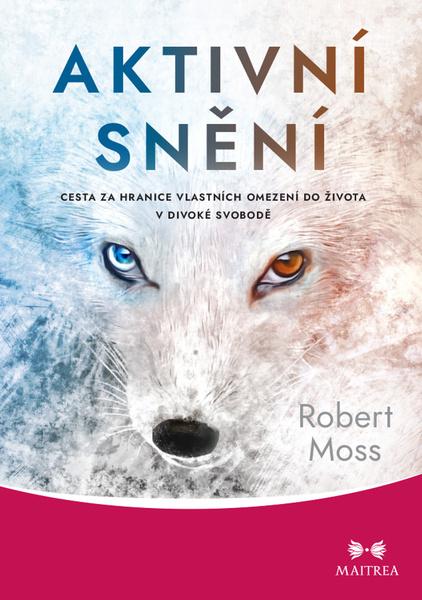 Aktivní snění - 9788075005991