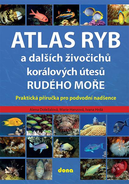 Atlas ryb a dalších živočichů korálových útesů Rudého moře - 9788073222536