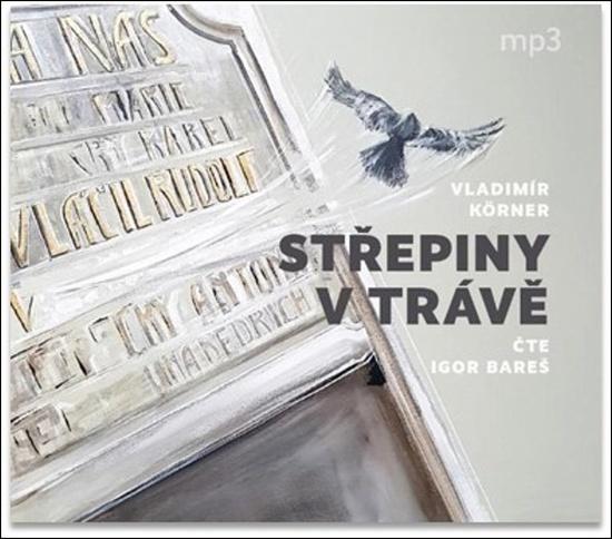 Střepiny v trávě - Vladimír Körner