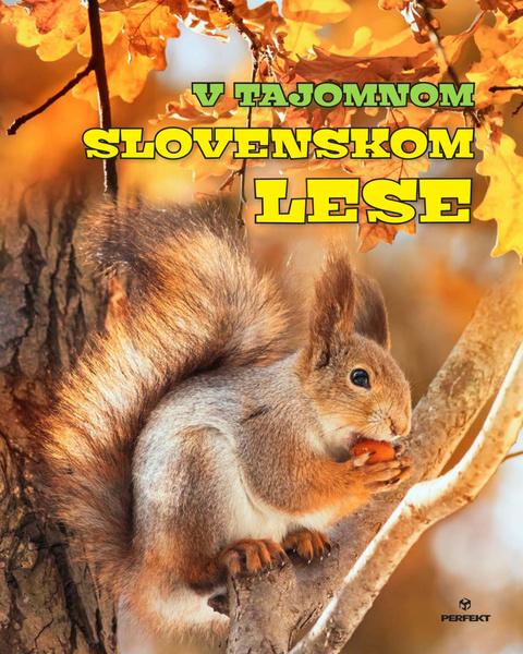 V tajomnom slovenskom lese - 9788082261359
