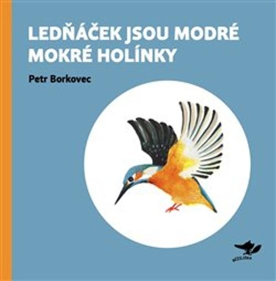 Lednáček jsou modré mokré holínky - 9788088360377