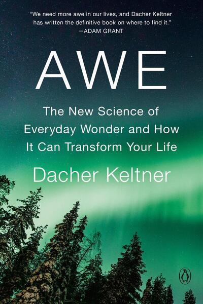 Awe - 1984879707