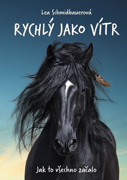Rychlý jako vítr Jak to všechno začalo - 9788026453789