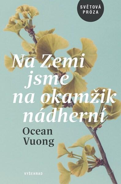 Na Zemi jsme na okamžik nádherní - 9788026730873