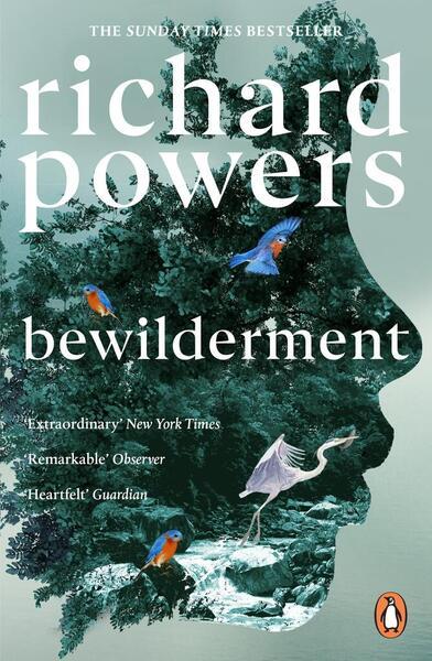 Bewilderment - 1804951668