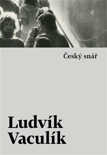 Český snář - 9788027518159