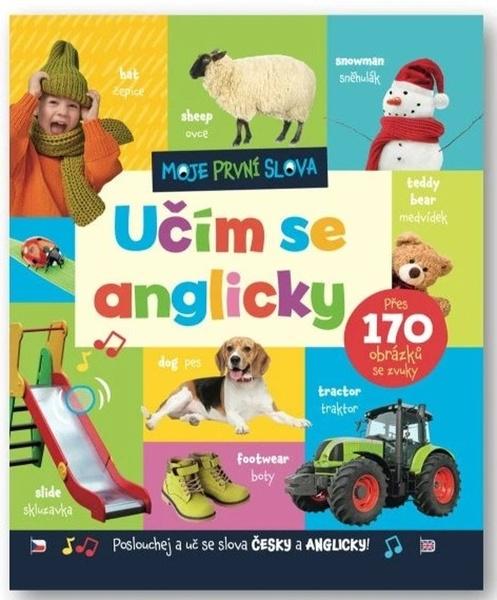 Moje první slova Učím se anglicky - 9788025638323
